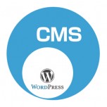 WordPress(ワードプレス)等のCMSは必要なのか